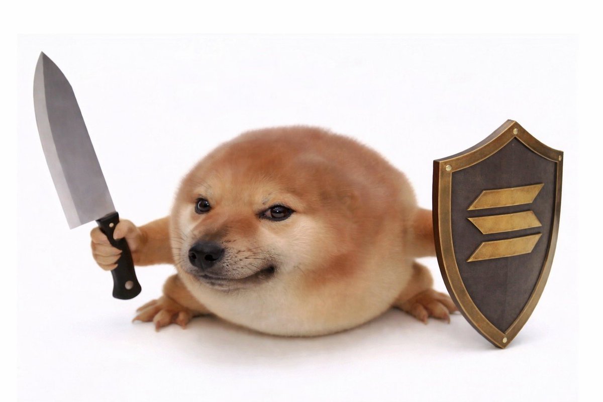 Meme 9